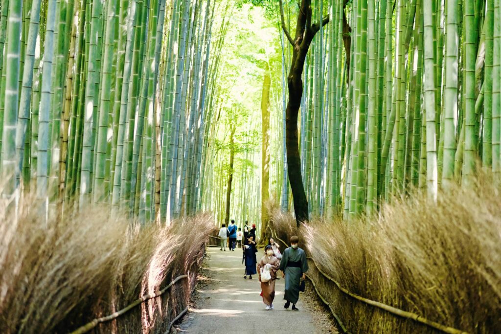 Arashiyama Bamboo Forest